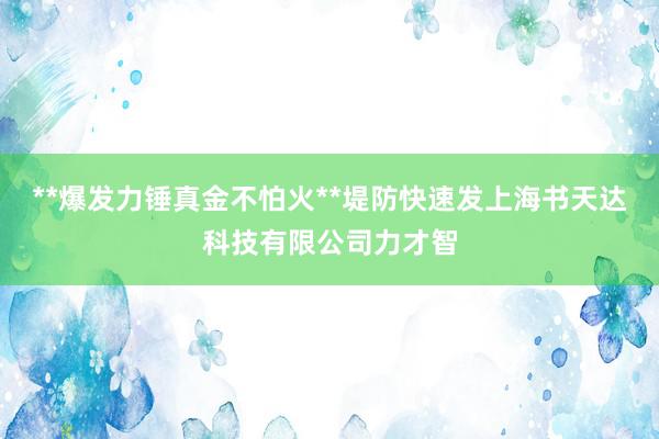 **爆发力锤真金不怕火**堤防快速发上海书天达科技有限公司力才智