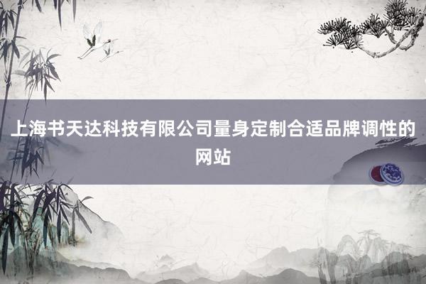 上海书天达科技有限公司量身定制合适品牌调性的网站